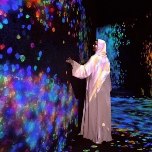 Abu Dabi Ticket Abu Dhabi: TeamLab phenomena