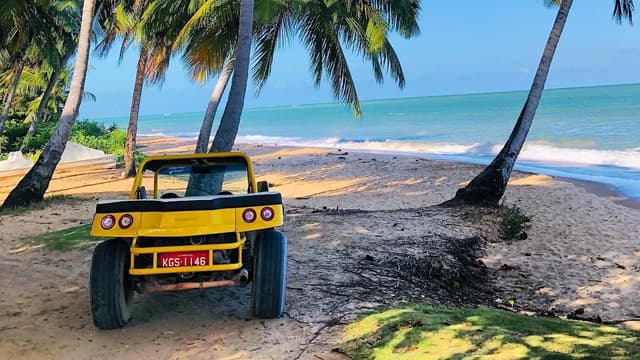 Japaratinga Tour Paseo en buggy por la playa de Japaratinga