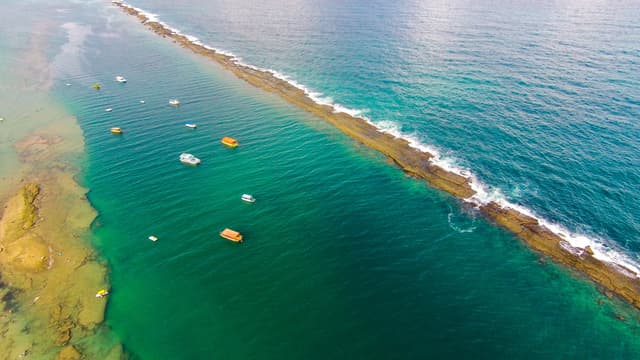 Marechal Deodoro Tour  Playa Francesa
