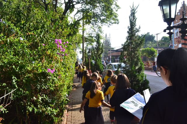 Holambra Tour Kids Tour Holambra