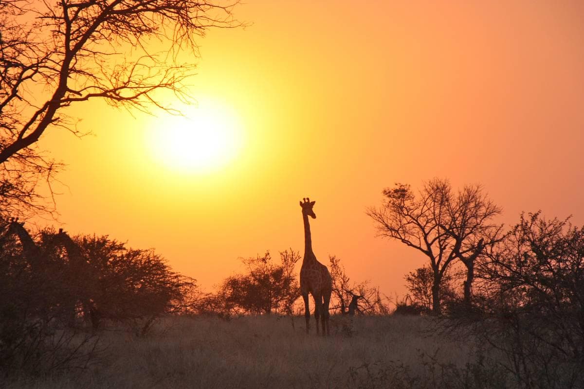 África do Sul