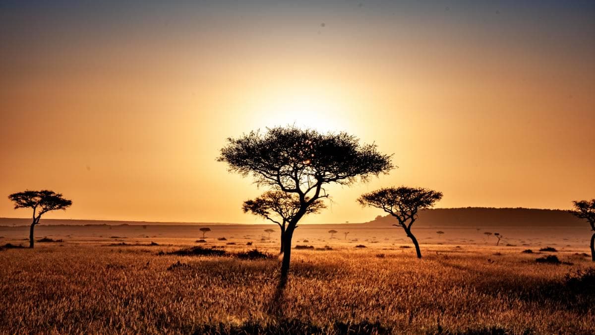 Nairobi