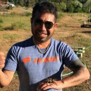 Cristian (Official Guide)