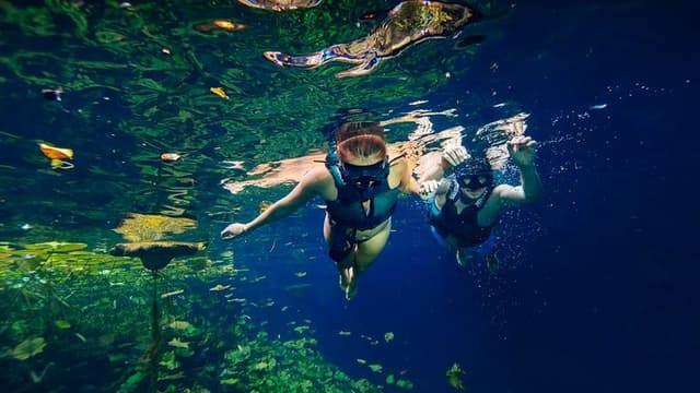 Cancún Tour Xenotes Cancun