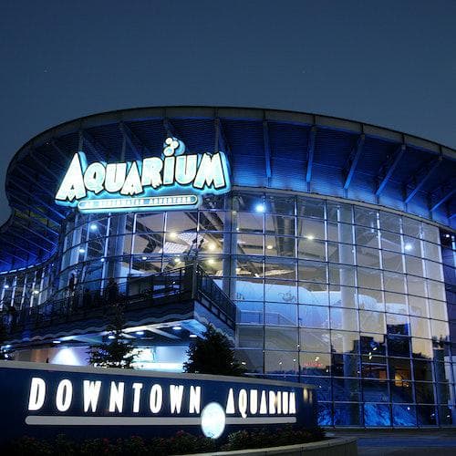 Denver Ticket Downtown Aquarium Denver: ingresso