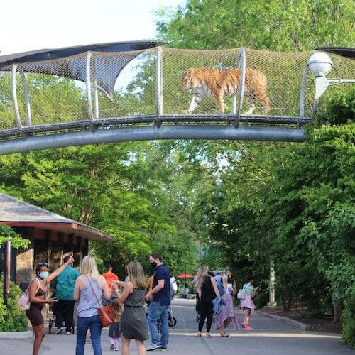 Philadelphia Ticket Zoológico da Filadélfia: ingresso geral