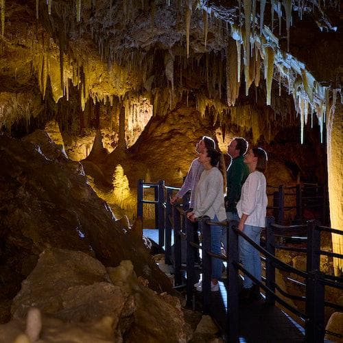 Yallingup Ticket Excursão Semi-Guiada à Caverna Ngilgi Cave