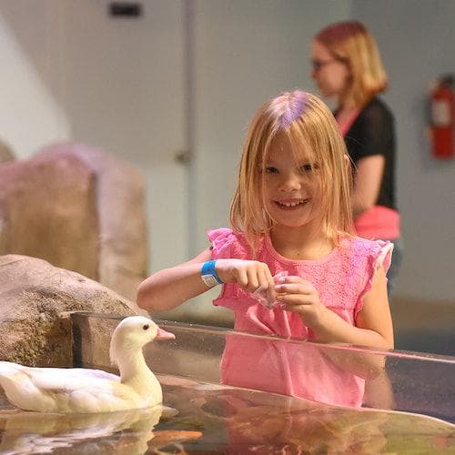 Fort Worth Ticket Sea Quest Fort Worth