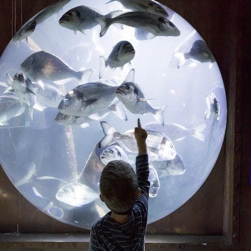 Speyer Ticket SEA LIFE Speyer