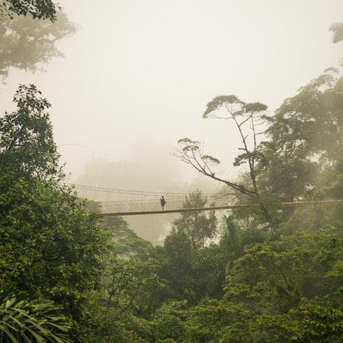 La Fortuna Ticket Caminhada Mistico Hanging Bridges