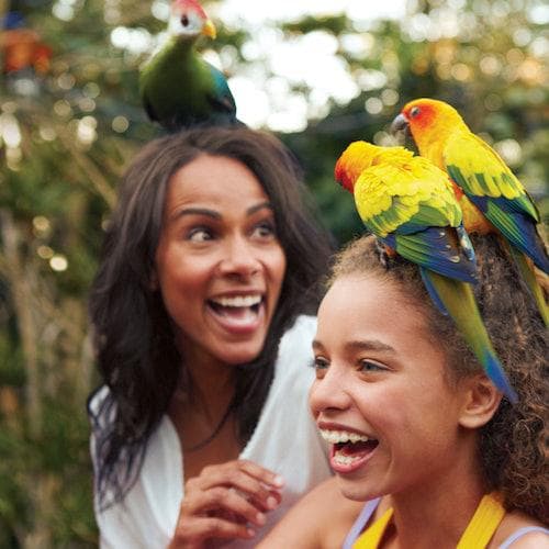 San Antonio Ticket Aquatica San Antonio