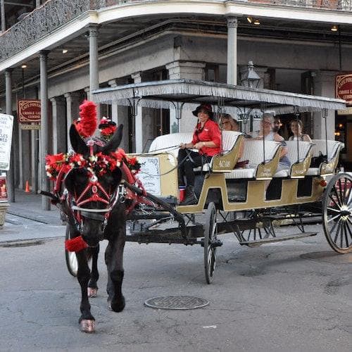 New Orleans Ticket French Quarter em carruagem puxada por mulas: excursão de 60 minutos