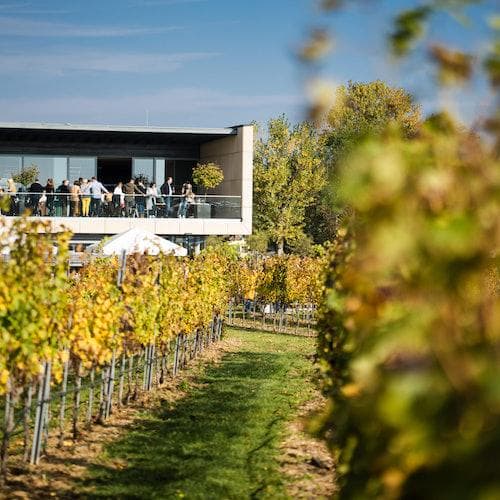 Trausdorf an der Wulka Ticket Experiência Vinícola Esterházy