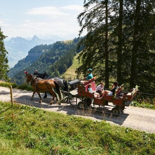 Arth Ticket Ferrovias do Monte Rigi: passe diário e banhos minerais