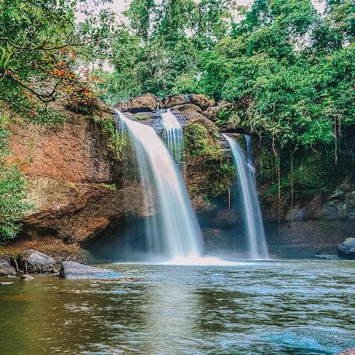 Nakhon Ratchasima Ticket Excursão ao Parque Nacional Khao Yai saindo de Bangkok - dia inteiro