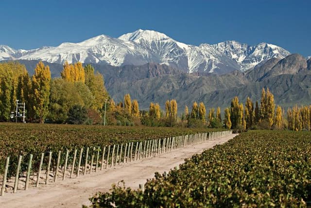 Mendoza Tour Experiencia Valle de Uco  