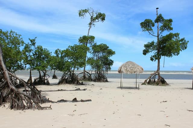 Belém Tour Marajó Island - Sun and Beach