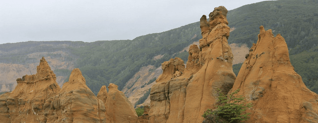 Punta Arenas Tour Reserva Nacional Magalhães