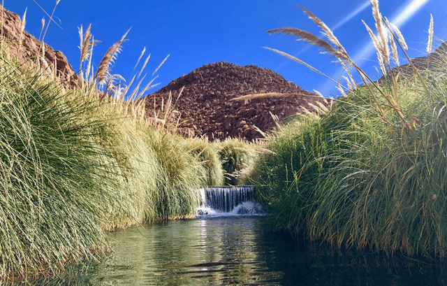 Chile Tour Termas de Puritana