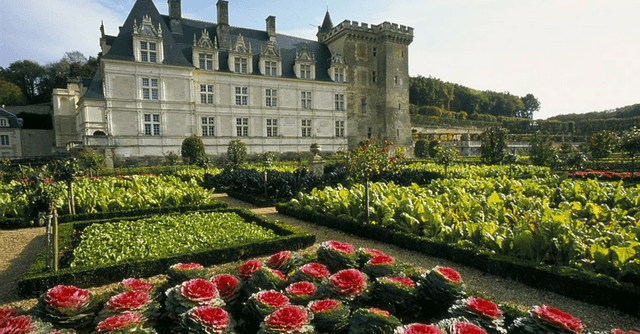 Indre-et-Loire Tour Tour de manhã pelos jardins de Chateau Villandry e Chateau Azay Le Rideau