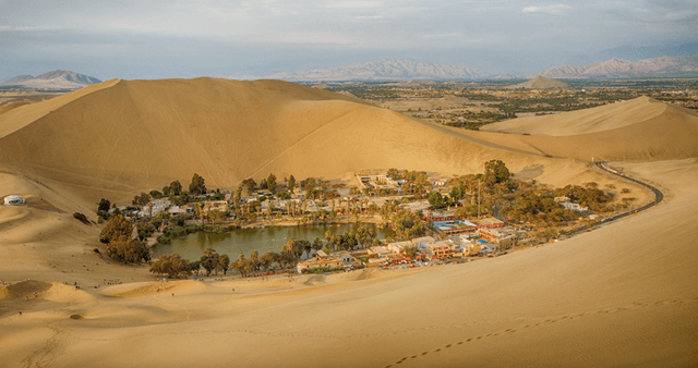 Lima Tour Passeio para Ica, Huacachina, Ilhas Ballestas e Paracas