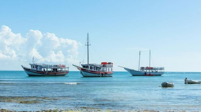 Porto Seguro Tour Combo: Transfer de ida e volta do Aeroporto de Porto Seguro para hotéis em Porto Seguro + City Tour + Passeio a Trancoso + Passeio de Arraial + Passeio de Escuna Recife de fora