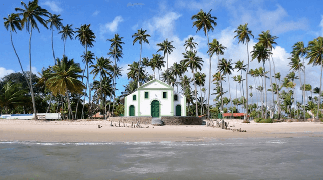 Recife Tour Combo: Transfer de ida e volta do aeroporto de Recife para Porto de Galinhas + Day tour na Praia dos Carneiros com Passeio de Catamarã