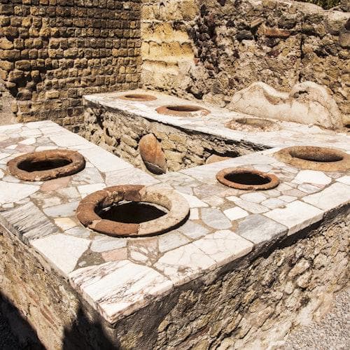 Naples Ticket Pompeii & Vesuvius: Skip The Line Ticket + Roundtrip from Naples Port