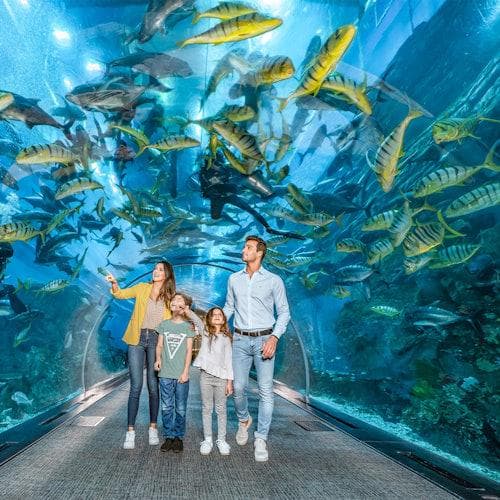 Dubai Ticket Aquário e Zoológico Subaquático de Dubai: a experiência definitiva