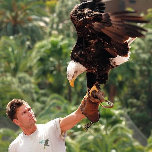 Maspalomas Ticket Palmitos Park: bilhete de entrada