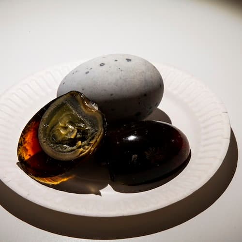 Malmö Ticket Nojento Food Museum: bilhete de entrada