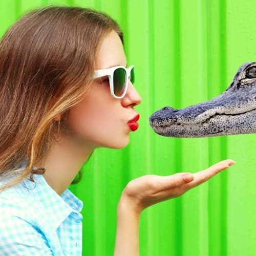 Madeira Beach Ticket Centro de descoberta de jacarés e vida selvagem