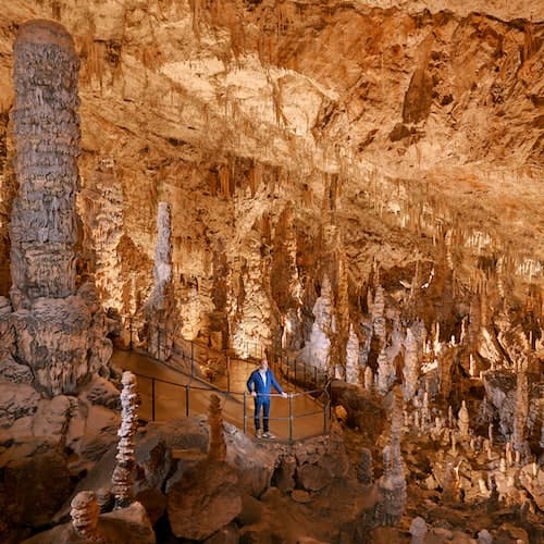 Postoina Ticket Caverna de Postojna e Castelo de Predjama: tour de meio dia desde Liubliana