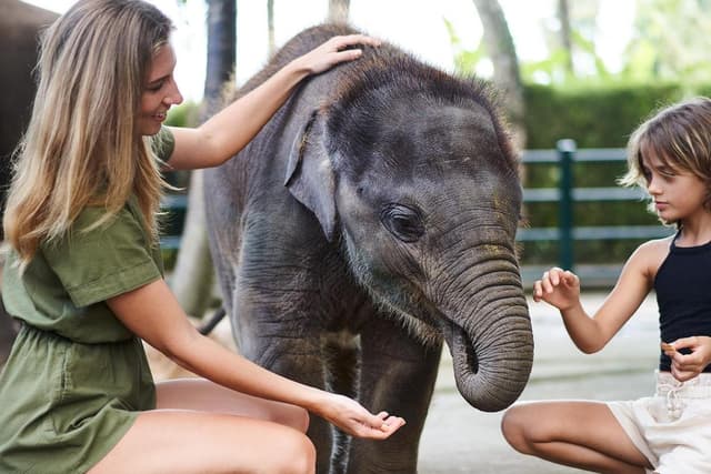 Bali Ticket Massagem Safari Aromática e Almoço com Elefante