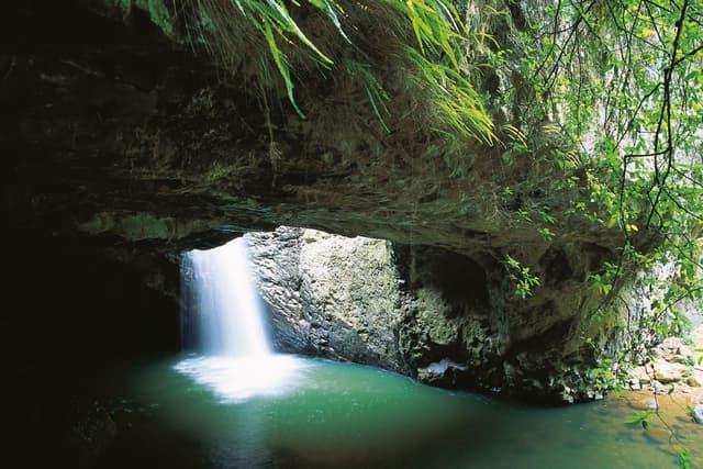 Gold Coast Ticket Excursão noturna aos vermes luminosos da Ponte Natural