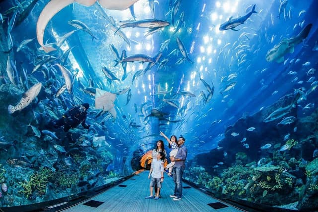 Dubai Ticket Dubai Aquarium and Underwater Zoo