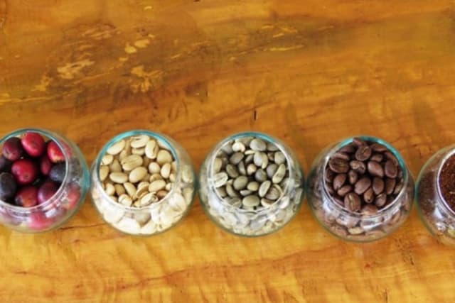 Bogota Tour Tour Privado do Café em Bogotá