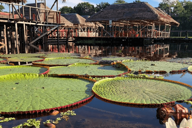Leticia Ticket Visita à Reserva Carbono Natural de Leticia