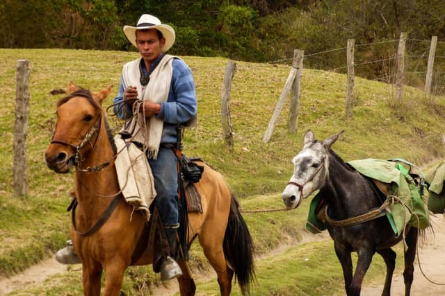 Manizales Tour Tour de Filandia, Vale de Cocora e Salento em Quindio (Manizales - Eje Cafetero)