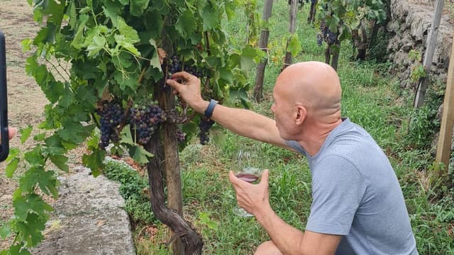 Catania Tour Visita a uma vinícola no Monte Etna, na Sicília